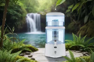 Descubre cómo el agua filtrada en casa mejora tu salud, reduce gastos y te ayuda a cerrar el año con hábitos más conscientes y sostenibles.