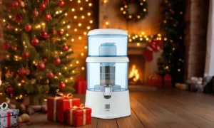 Disfruta de agua purificada en navidad con toda la hidratación, sabor y ahorro garantizados para estas fiestas decembrinas.